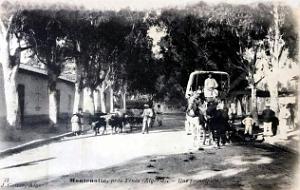 1537- Montenotte - Pres de Tenes - Rue principale